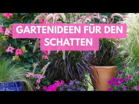 Clay soil: No problem! These 10 plants thrive in the shade!