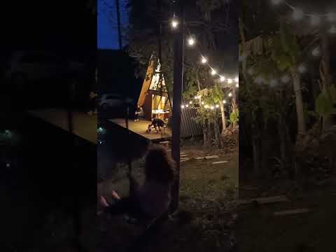 Passeio arquivado - Chalé Delmonte - Contenda PR