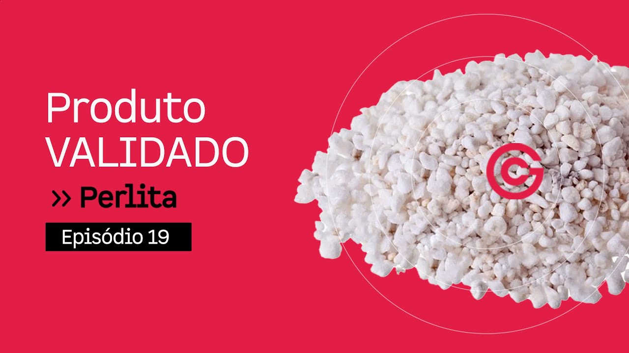 O que Importar da China - EP 19 - Perlita - China Gate Importação