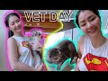 MY MORNING ROUTINE VET DAY OF MY BABIES ROB GUINTO