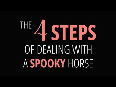 The 4 steps of dealing with a spooky horse