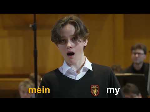 J.S. Bach, Kantate BWV 21, 3: Aria „Seufzer, Tränen, Kummer, Not“ | Felix Hofbauer