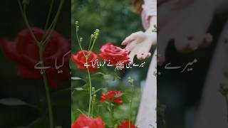 Download lagu #reels Hazrat Haras bnti numan ki quran🤲 tilabat jannat me 🤲☪️#ameen mp3