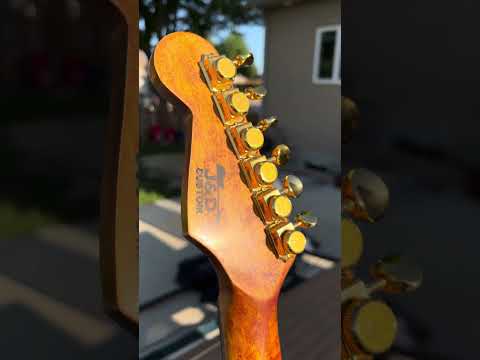 Warmoth/Fender Stratocaster 2026 - Buddy Guy Signature Fender polka bot image 5