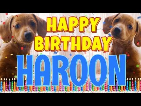 Happy Birthday Haroon! ( Funny Talking Dogs ) What Is Free On My Birthday