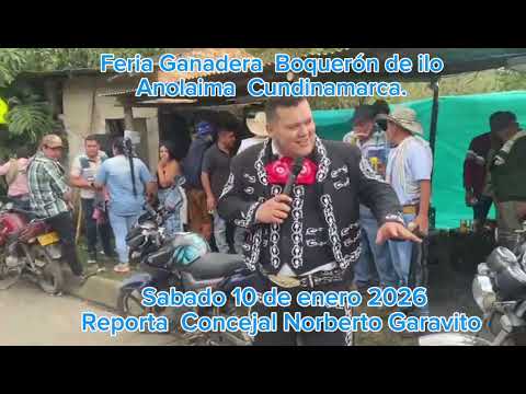 Feria Ganadera Boquerón de Ilo Anolaima Cundinamarca. 