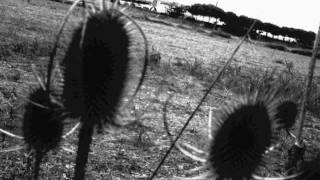 No drums (Tim Hecker's photo cover)