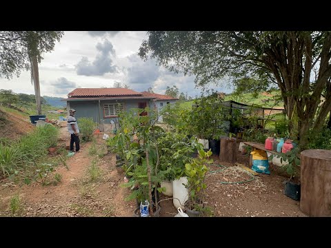 Sítio de 10 Alqueires à Venda em Bueno Brandão - MG