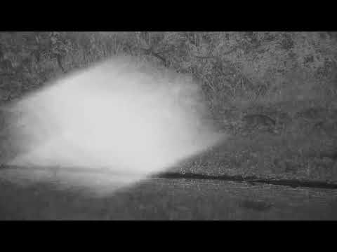 Djuma: Genet - 04:09 - 12/30/21