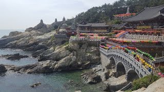 釜山のパワースポット！海東龍宮寺/へドンヨングンサへのアクセス/行き方を解説★