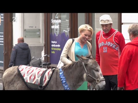 Skrita kamera Francija Keka - Z oslom po Ljubljani