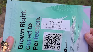 Gas Face | CannaCured 