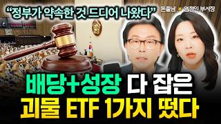 "정부가 약속한 것 드디어 나왔다. 배당 + 성장 다 잡은 괴물 ETF 1가지" 지금부터  ISA에 이 ET…