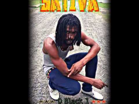 SATIVA D BLACK1      chat mi min