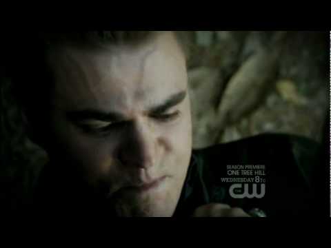 the vampire diaries s03e10 damon and stefan fight
