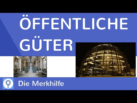 Public Goods - Why Does the State Own Goods?! | EconomyBasics 30