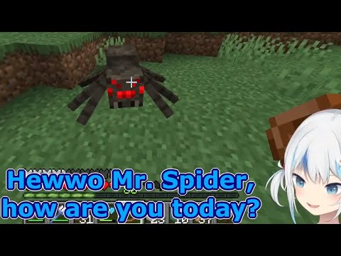 Mnicc - Gura tries to leash a spider (Minecraft)  [Hololive/clip]