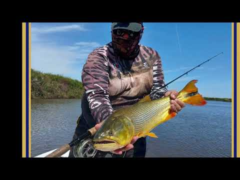 DORADOS CON MOSCA ¡¡¡¡¡¡¡¡¡¡ PESCA DE DORADOS EN AROCENA .