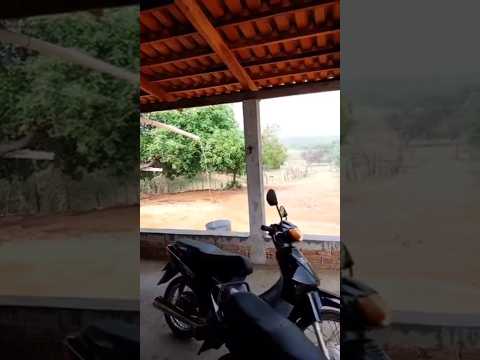 Chuva em Baraúnas (São Mamede PB) #chuvas #sertão #paraiba #lma