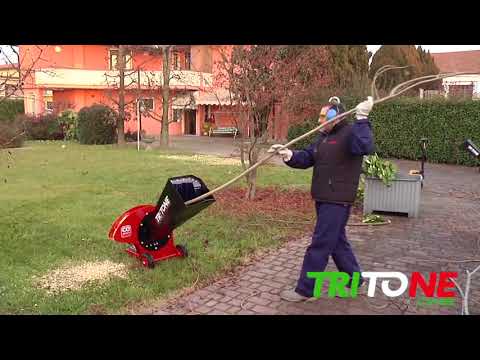 Broyeur de Branches Tritone One électrique 230V-400V Ceccato Olindo