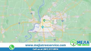Best Tree Service in Memphis, TN
