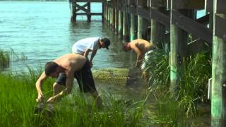 Aquaculture Technology at  Carteret Community College