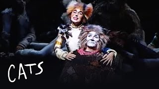 Gus The Theatre Cat (Fernando Patau) - Brazil | Cats the Musical