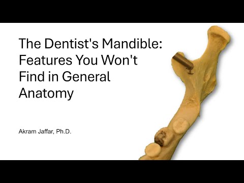 Żuchwa dentysty: cechy, których nie znajdziesz w ogólnej anatomii