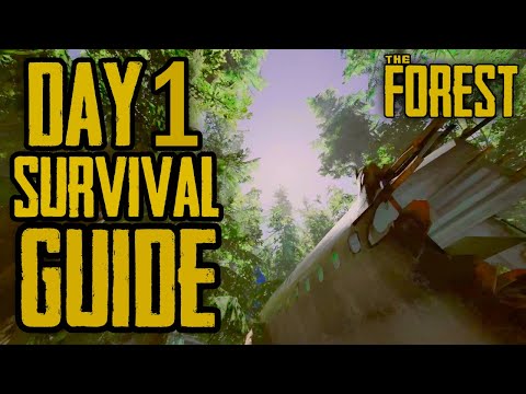 How to Survive DAY 1 - The Forest Beginners Guide