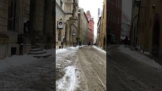 冬の朝は雪かきから　#ドイツ　#ドイツ在住 #ドイツ留学