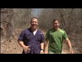 Wild Kratts Intro