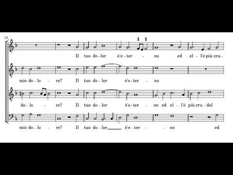 Cipriano de Rore: Qual'è più grand'o amore - Delitiae musicae