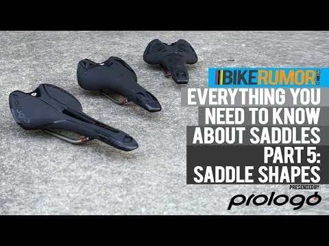 Saddle Surfaces | Vibepedia