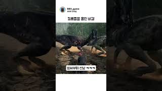 공룡을 홀린 비결