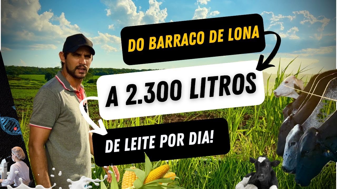 SÍTIO MODELO NO ASSENTAMENTO, MUITO PRODUTIVO, SUPER ESTRUTURADO, CONSTRUÍDO DO ZERO! (JALES-SP)
