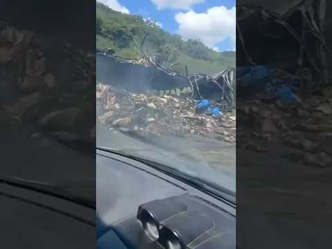 Caminhão pega fogo na BR-116 e chama atenção em Minas Gerais