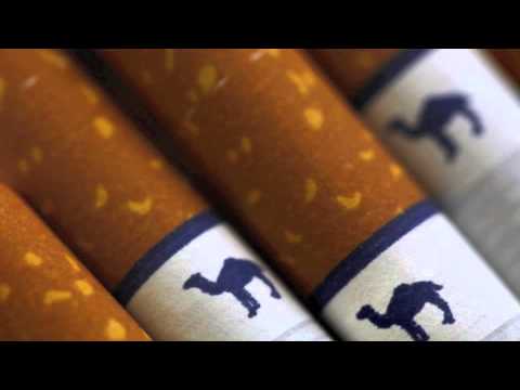 Ron & Fez - Davey Mac's High School Poems