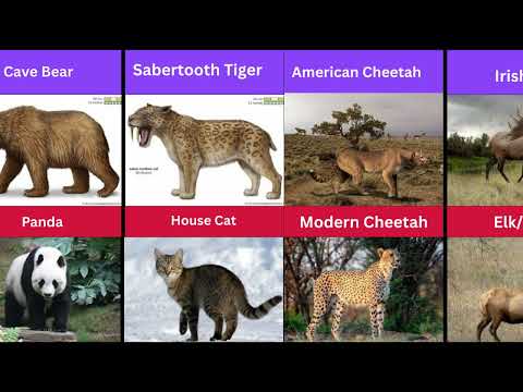 EXTINCT MONSTERS THAT BECAME CUTE MODERN ANIMALS