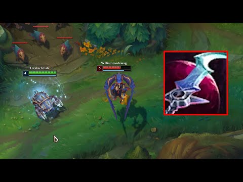 Sometimes the Smallest Bugs are the Weirdest of them All...