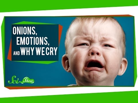 Onions, Emotions, and Why We Cry