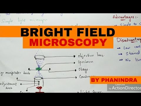 Bright Field Microscopy Principle Working Advantages and disadvantages