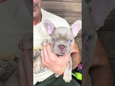 Video 4