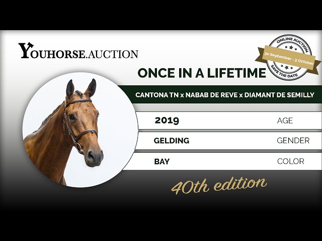 Once in a Lifetime @ the show