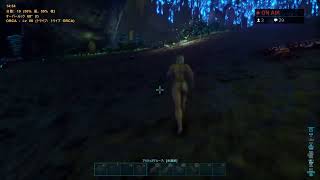 ARK [アベレーション#4]