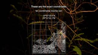 La tierra los altares | Earth Altars / Trailer