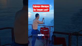 Download lagu This is How Sailors Wash Their Clothes! mp3