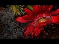 YANNI - A Word In Private