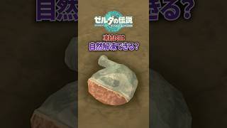 凍結肉を解凍することはできる...?#ティアキン #totk