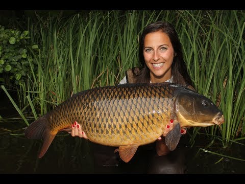 Boilies Rollen - Boilies selbst gemacht - Selfmade boilies - große Karpfen live- big carp