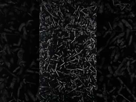 Radon in einer Nebelkammer #Experiment #Wissenschaft #fortgeschrittenesTüfteln